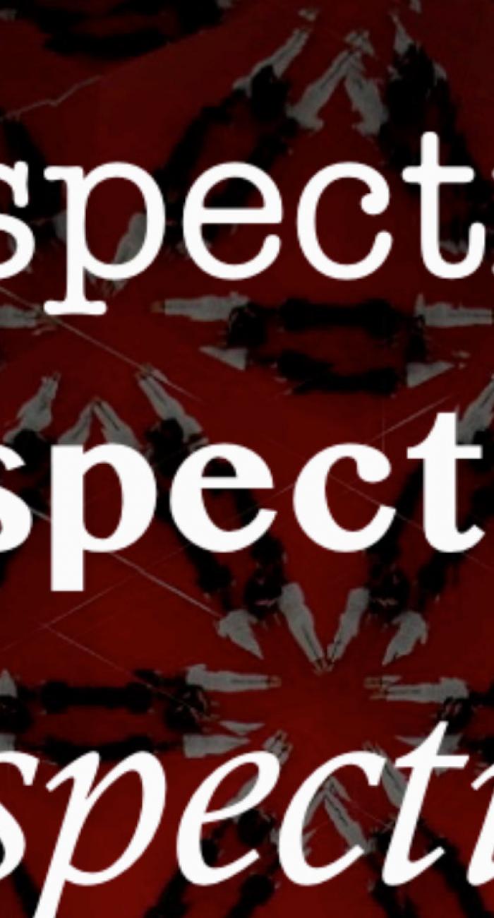 Revista perspectivas (trabajo ELE)