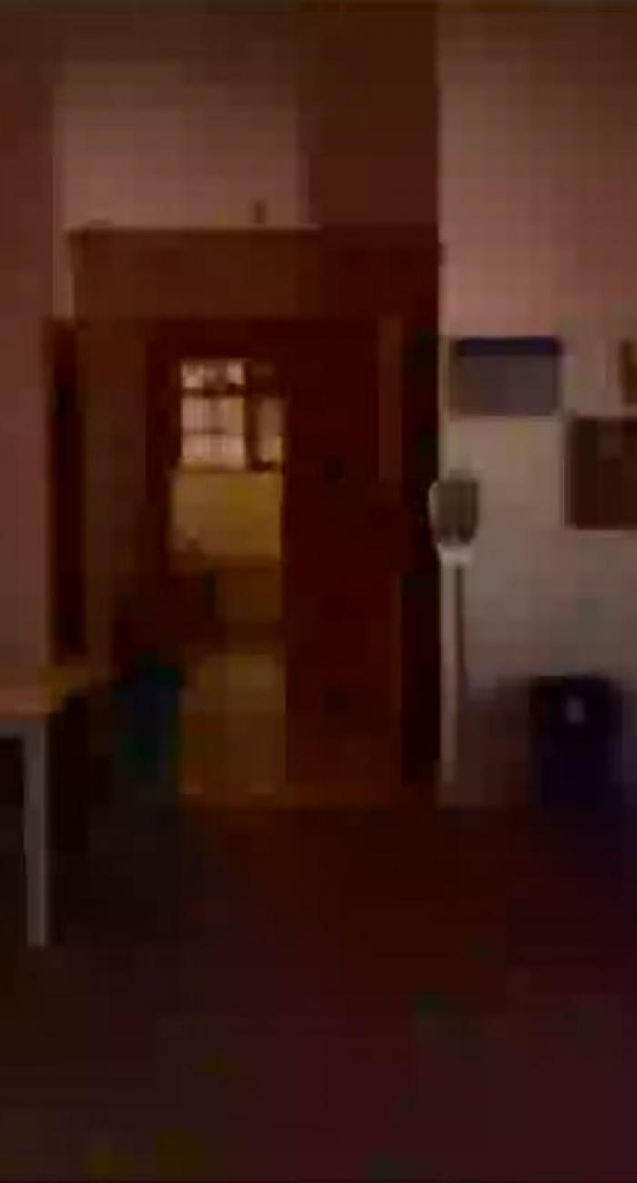 interior alcalingua