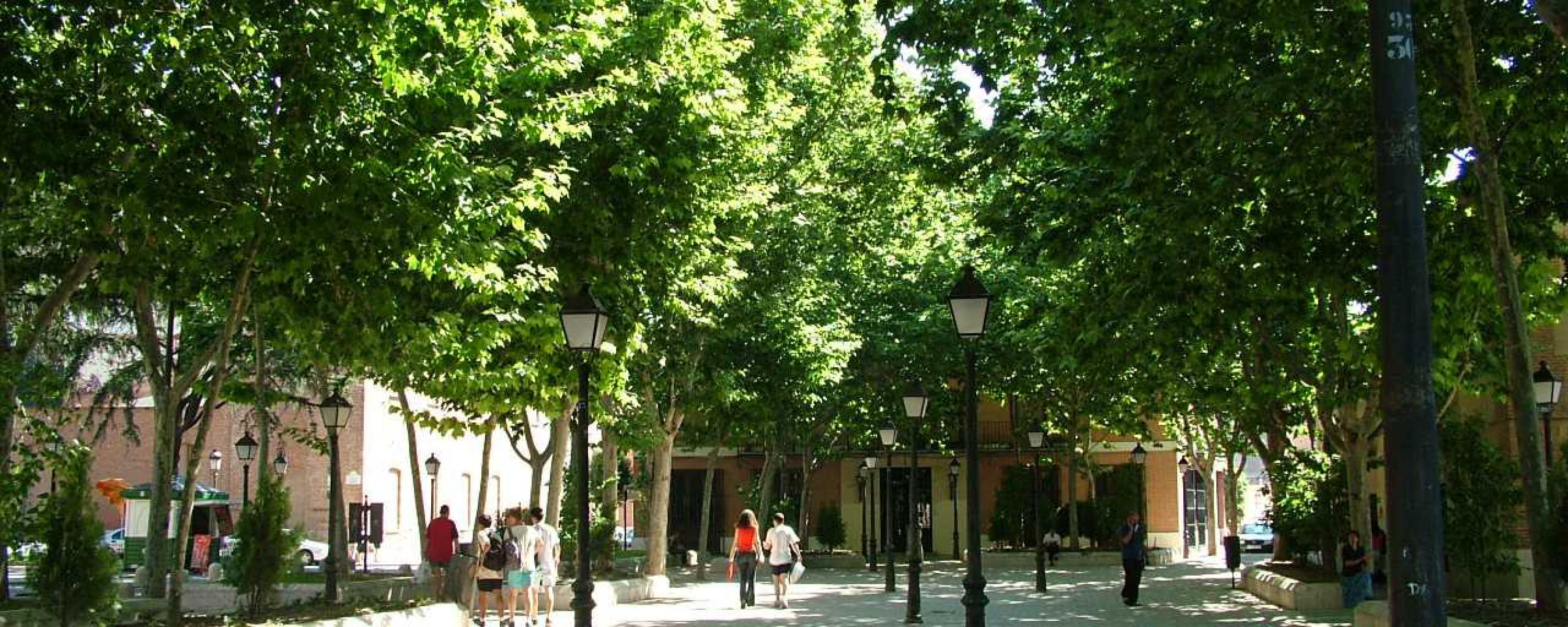 Alcalá de Henares