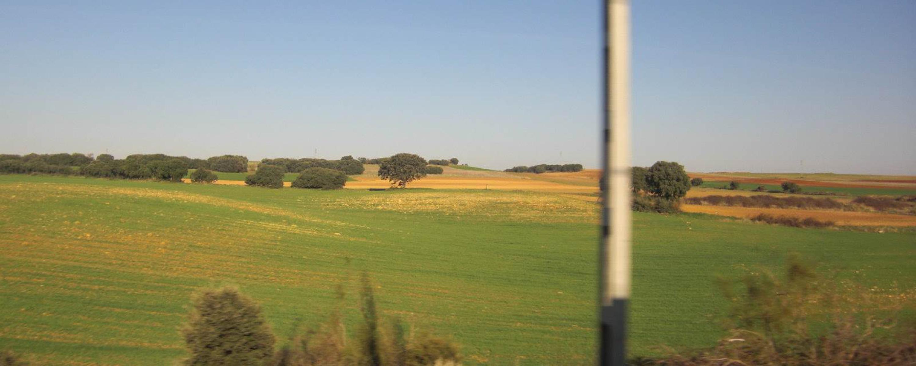 Excursión a Sigüenza