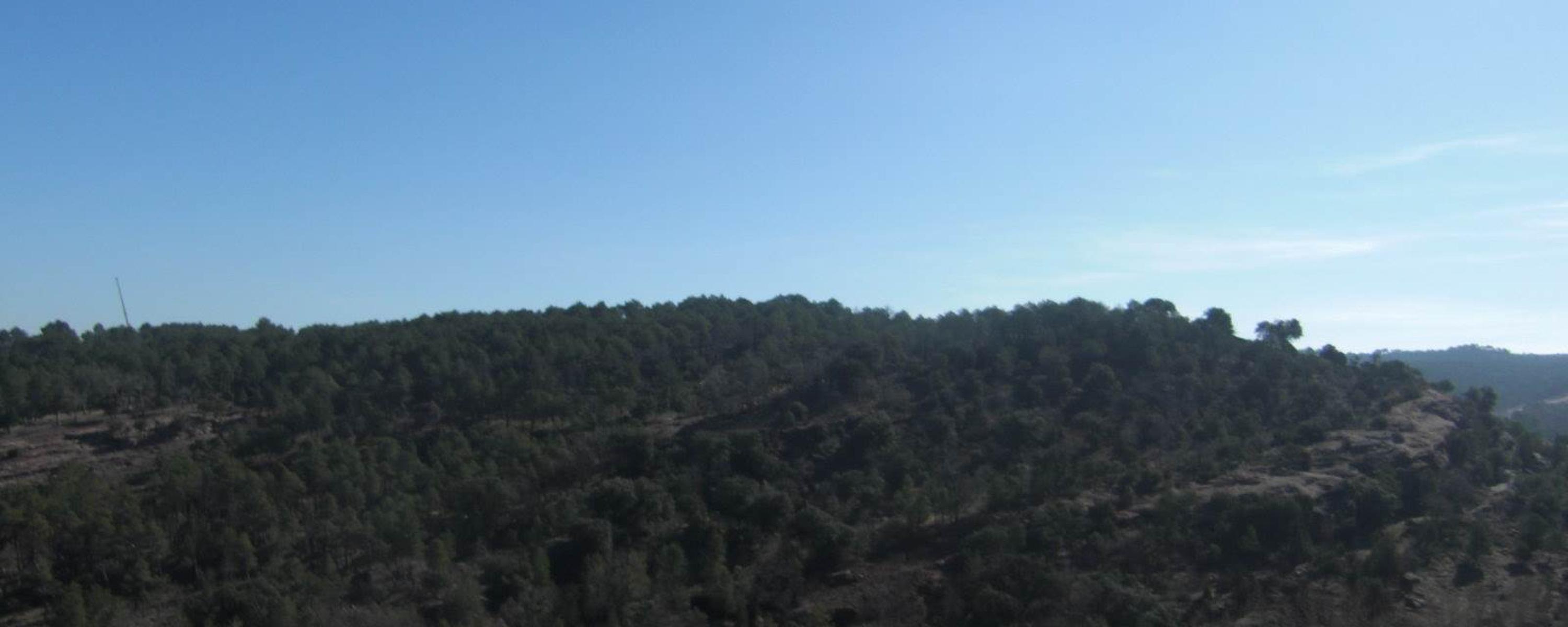 Excursión a Sigüenza