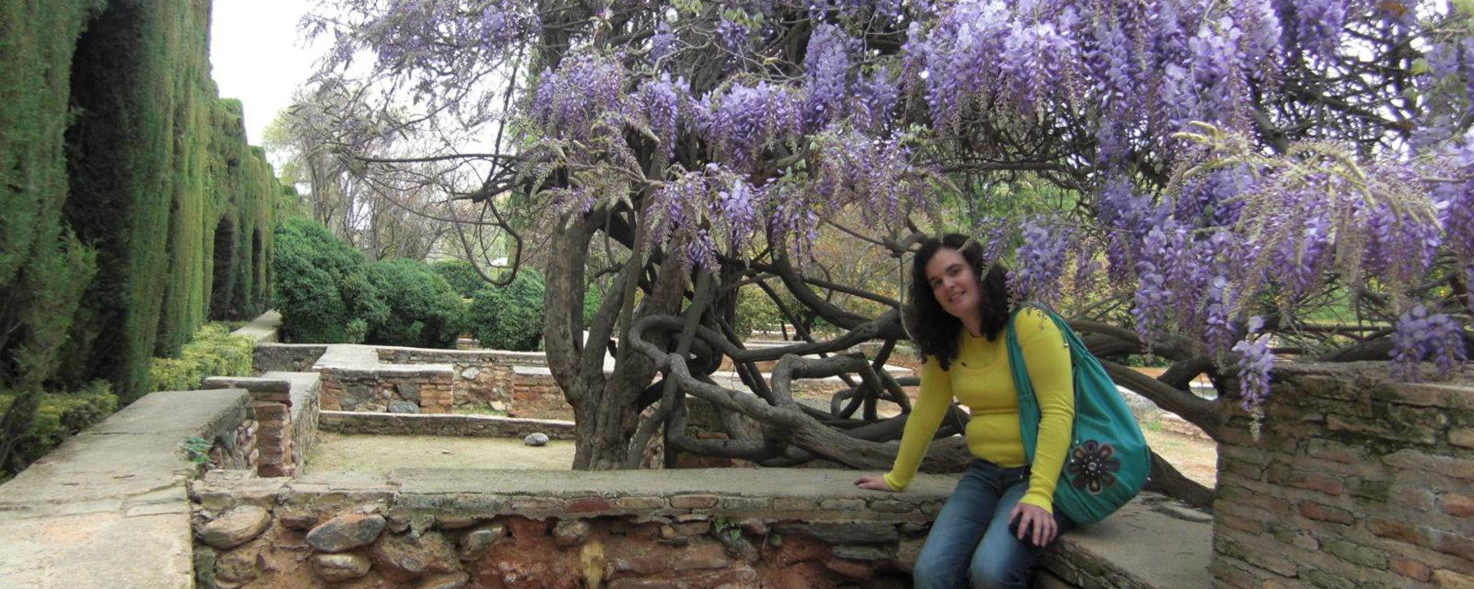 Viaje a Granada
