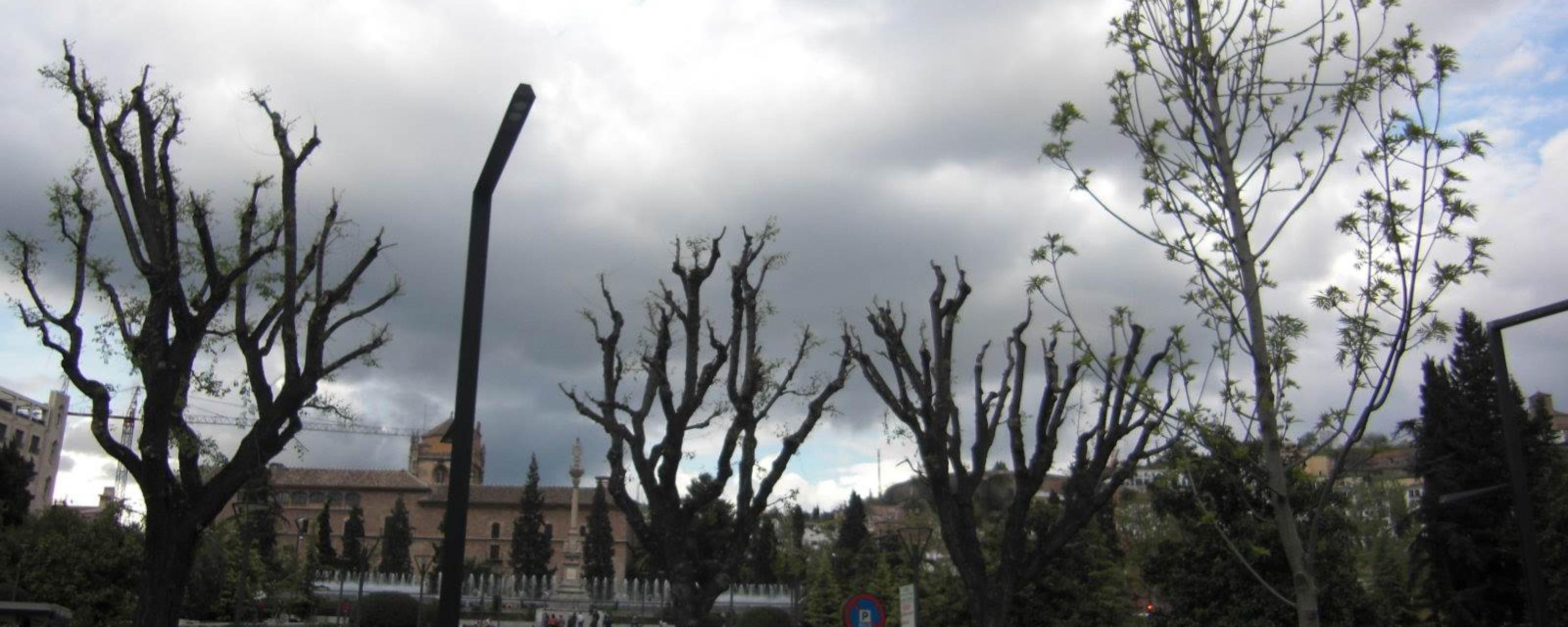 Viaje a Granada