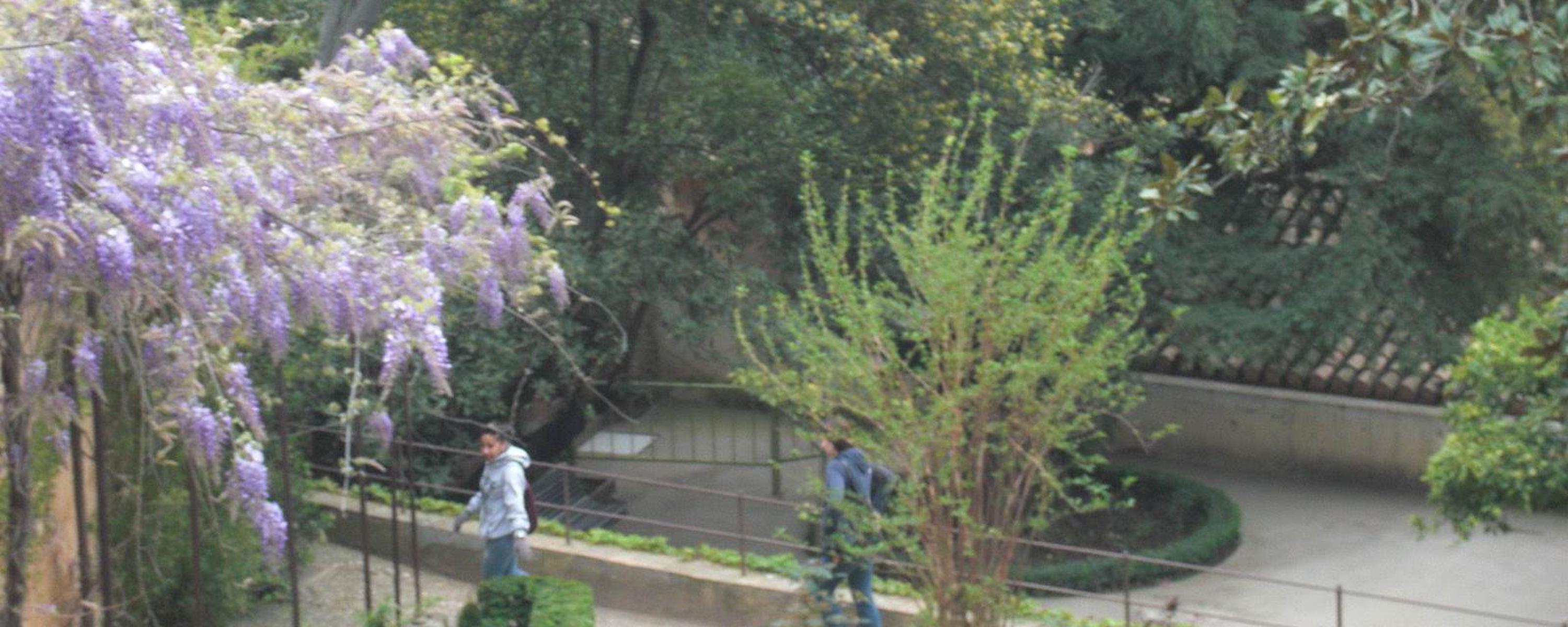 Viaje a Granada