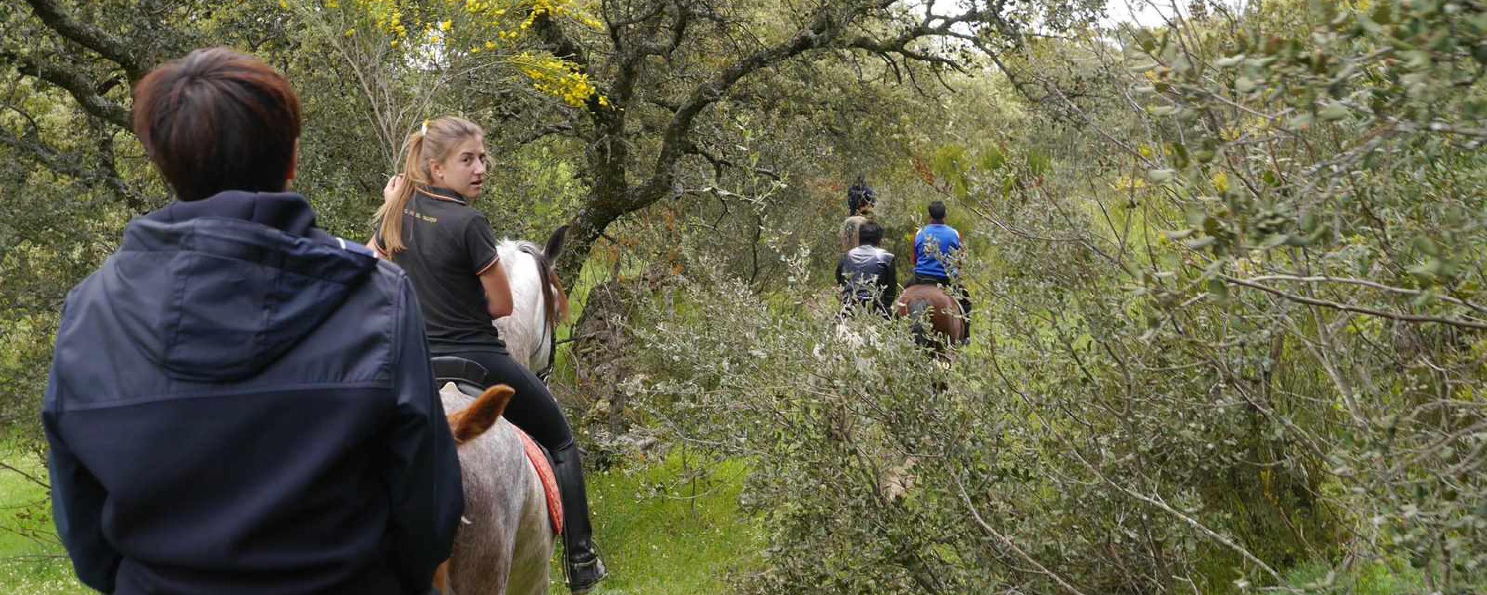 Horse Riding in Ávila