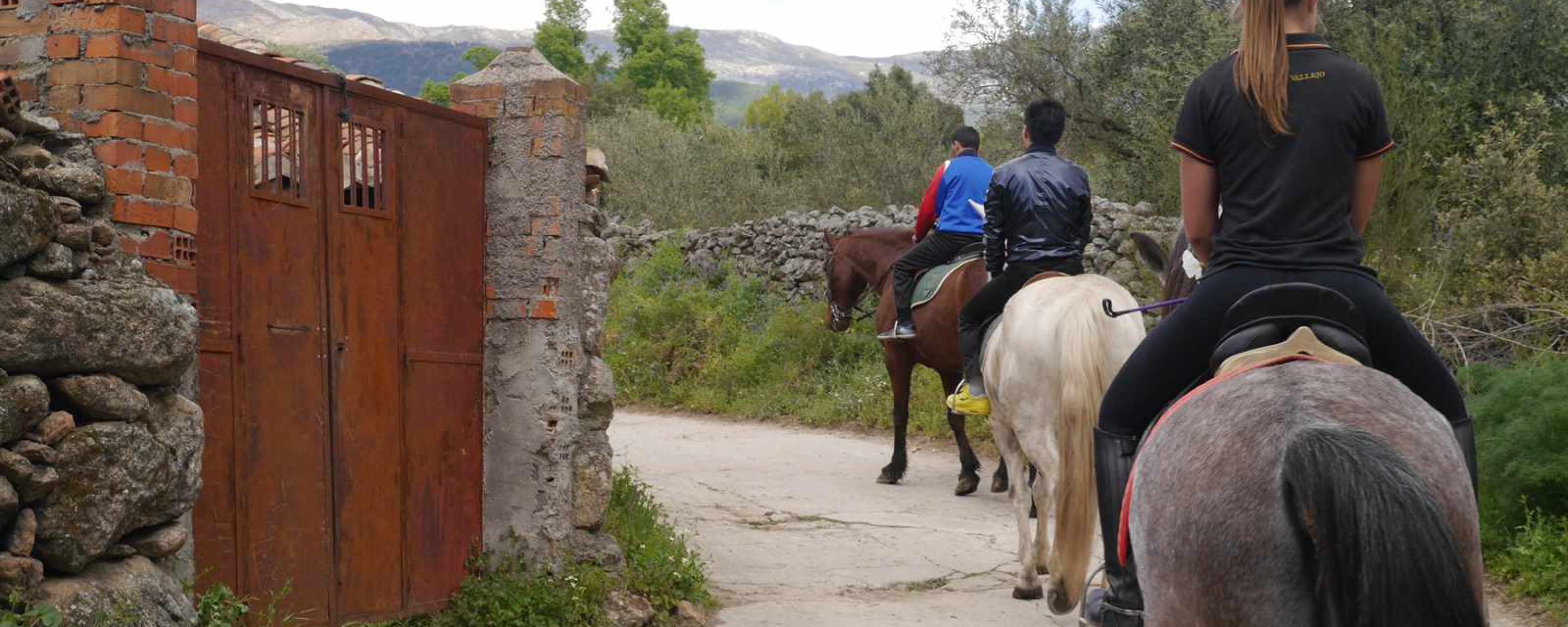 Horse Riding in Ávila