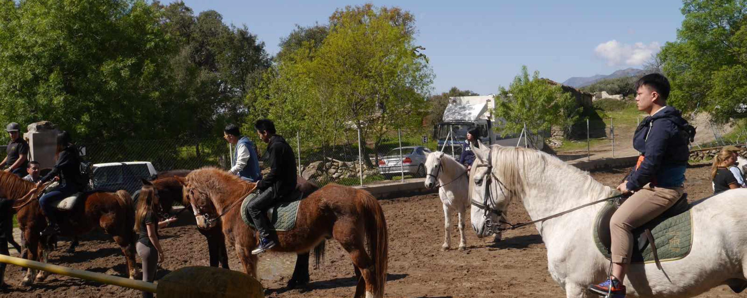 Horse Riding in Ávila
