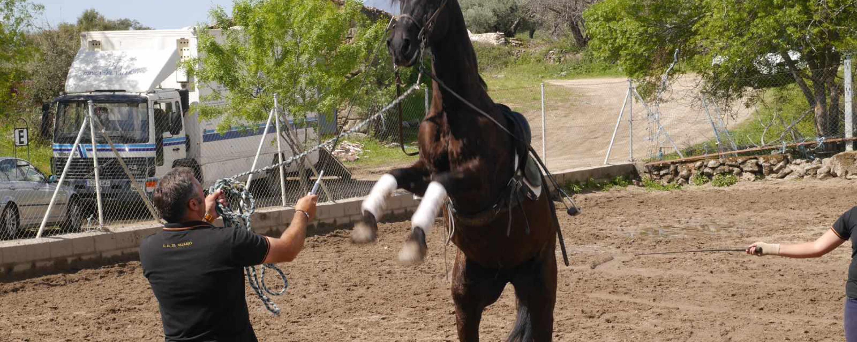 Horse Riding in Ávila