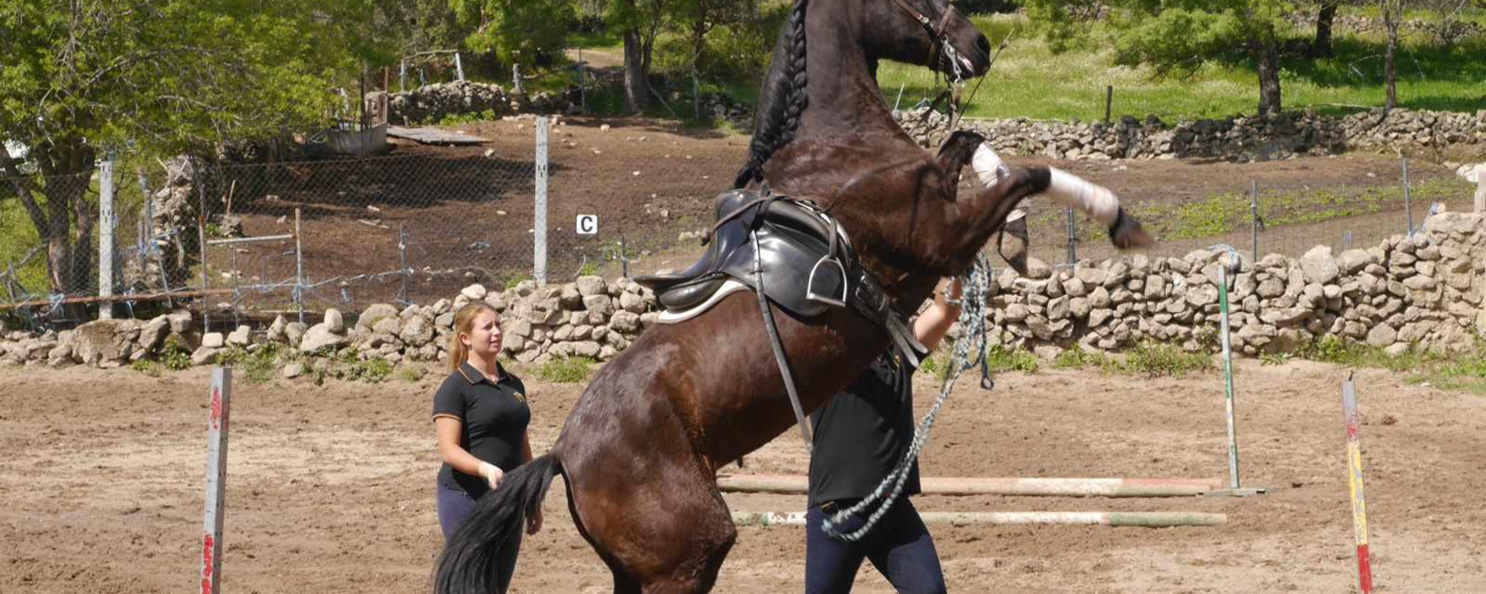 Horse Riding in Ávila