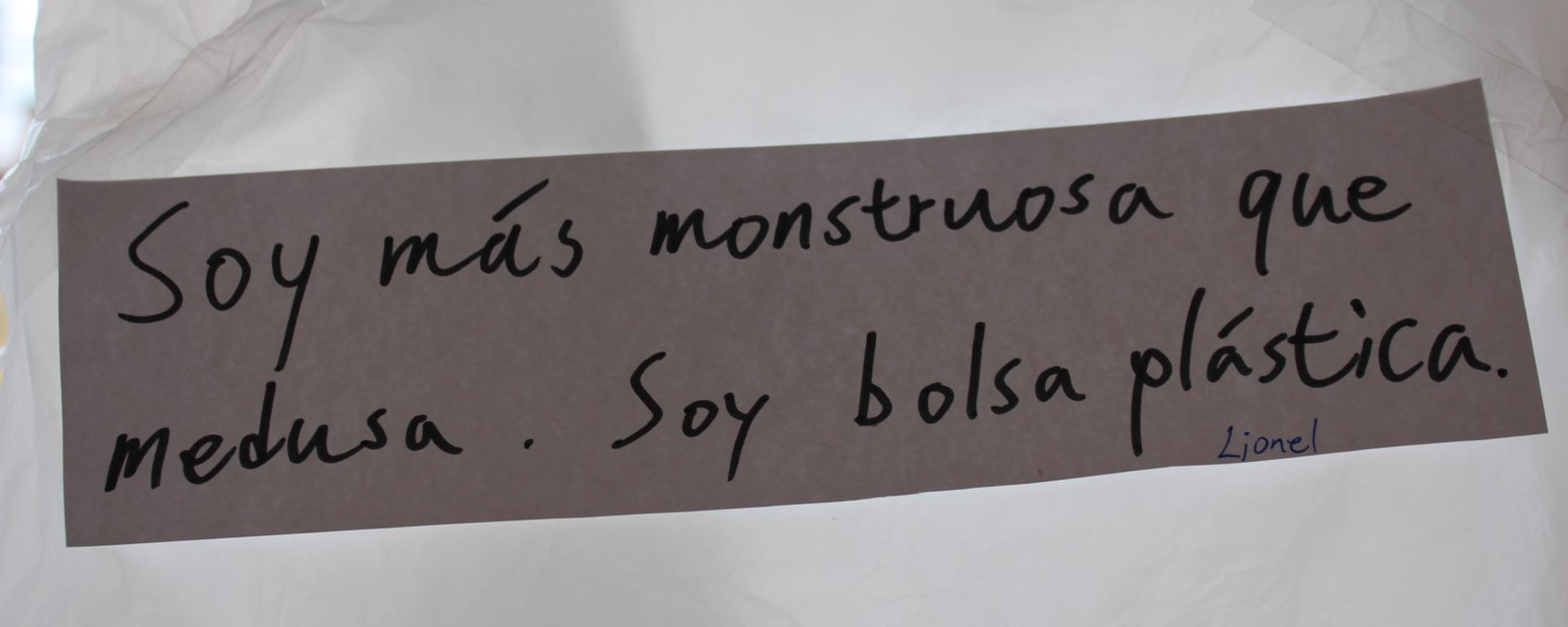 Visual poetry (Victoria del Valle. Pepe Ruiz)  