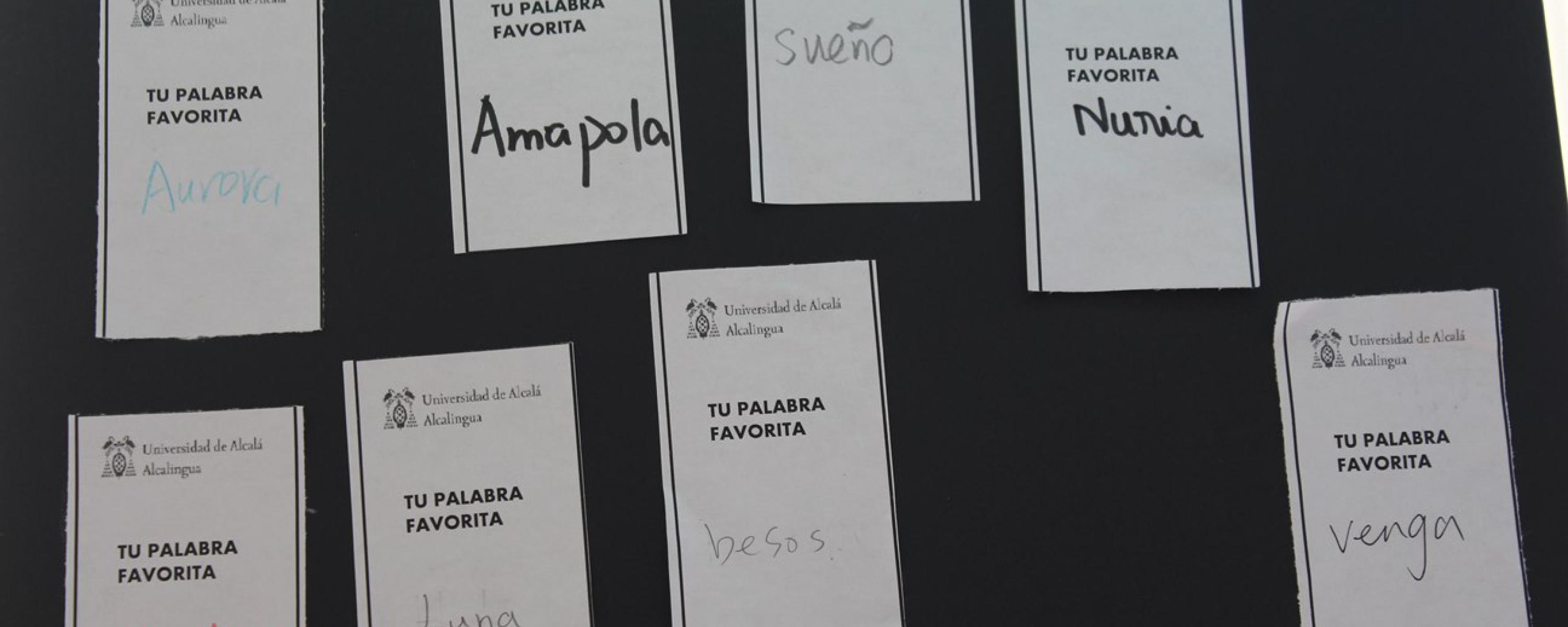 Día del libro (2018)