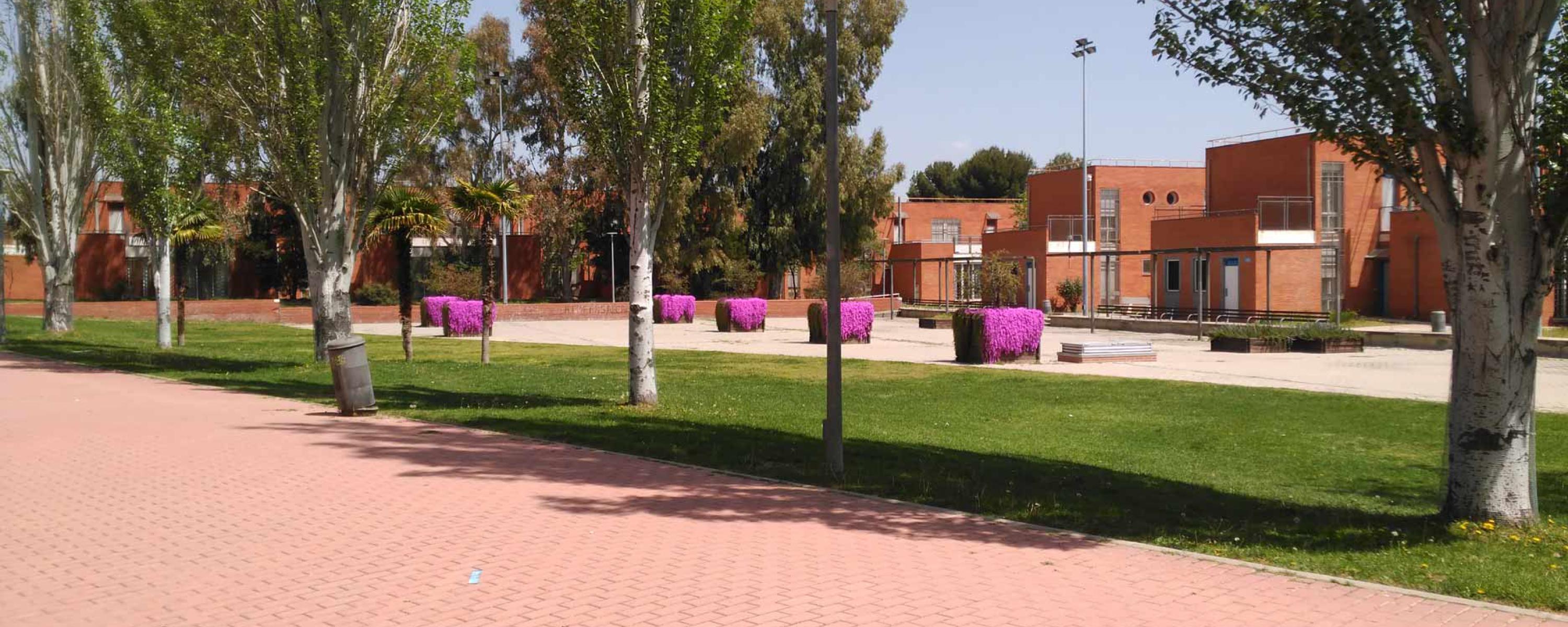 CRUSA · Campus Village | Alcalingua · Universidad de Alcalá